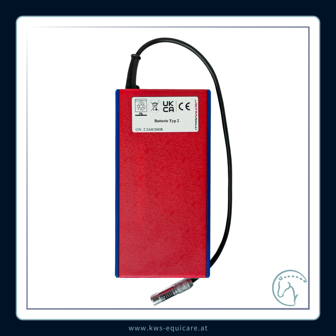 Batterie Professional ACTIVOMED alt (bis 2021)