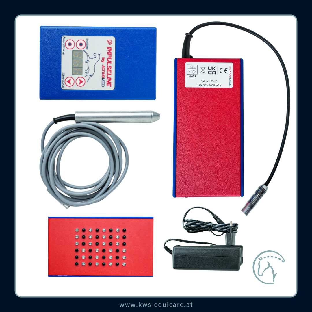 Wave-Light-Pulse (WLP) Shower & Pointer Komplettpaket
