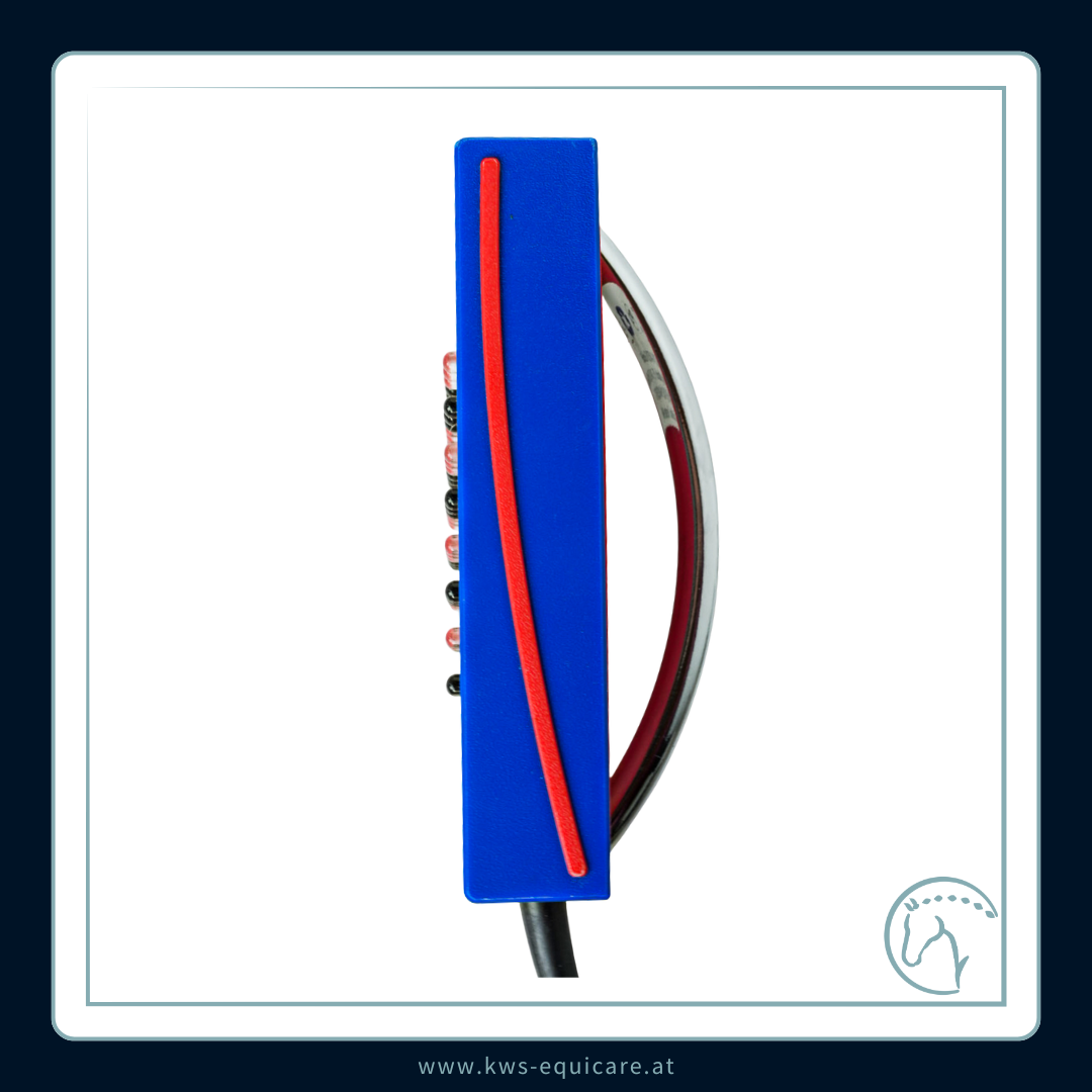 Wave-Light-Pulse (WLP) Shower & Pointer Komplettpaket