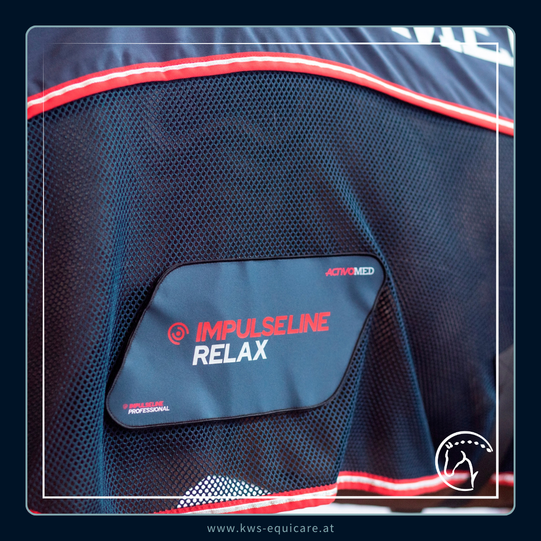 ACTIVOMED Relax COMBI Rückendeckenset (Magnetfeld & Massage)