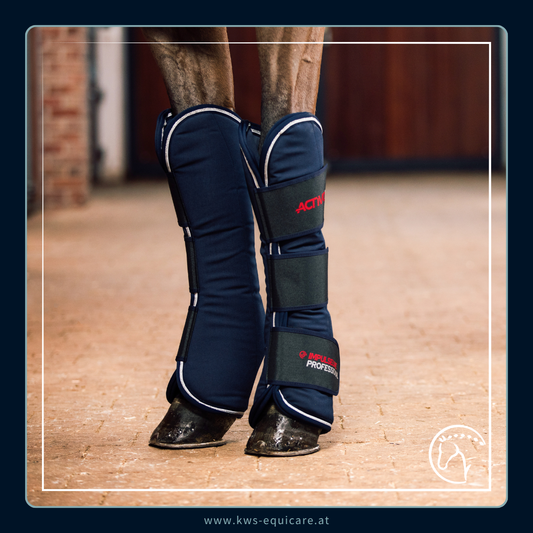 ACTIVOMED Professional Gamaschen - Komponente (Magnetfeld)