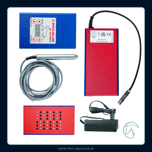 Wave-Light-Pulse (WLP) Shower & Pointer Komplettpaket