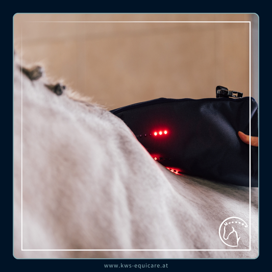 Wave-Light-Pulse (WLP) PowerPad Triple - Komponente